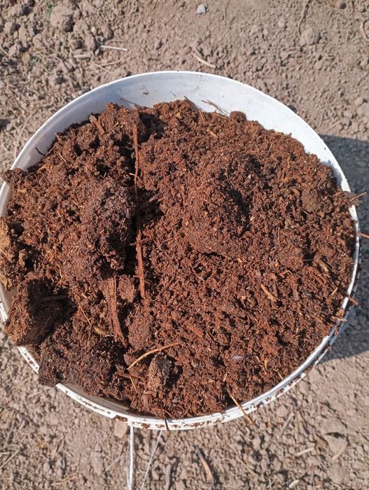 Перегоной в мешках