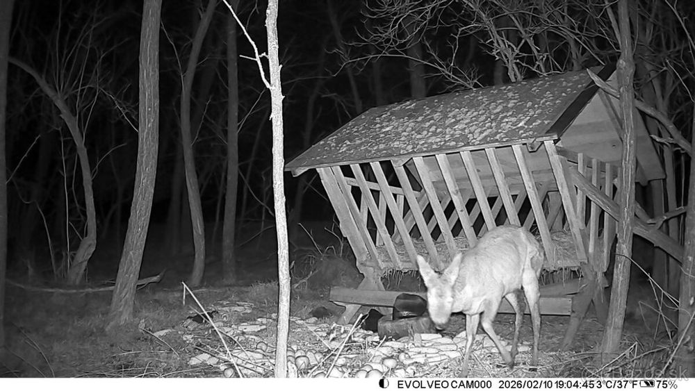 Cameră vânătoare EVOLVEO StrongVision GSM