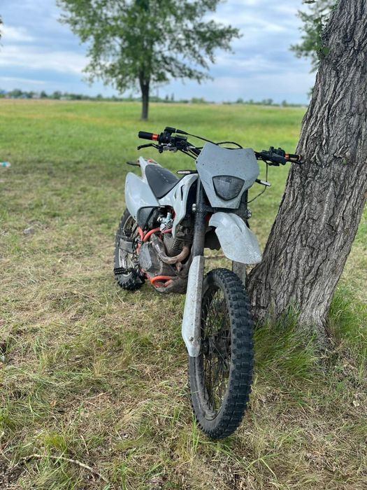 Эндуро Progasi palma 300