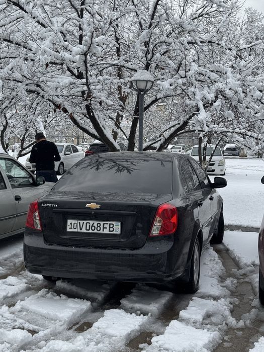 Jentra 2023 noyabr kraska toza