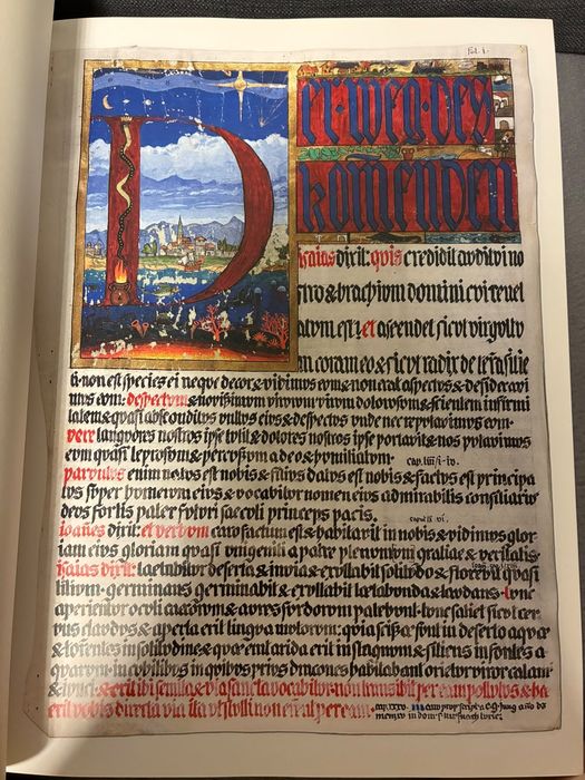 C.G. Jung – The Red Book (Liber Novus) | Ediție mare ilustrată | Hardcover | W.W. Norton