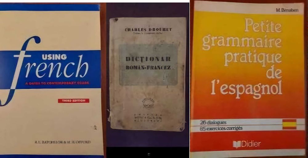 Manuale ENGLEZA/lingvistica/ROMANIAN foreign learners/Guides Romania