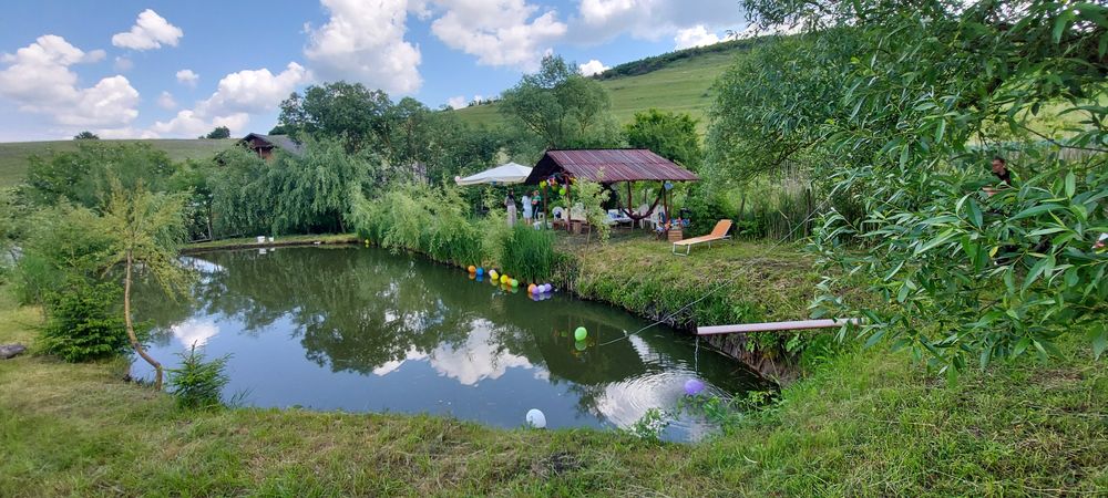 Cabană  cu lac și ciubăr de închiriat la 14 km de Cluj Arena