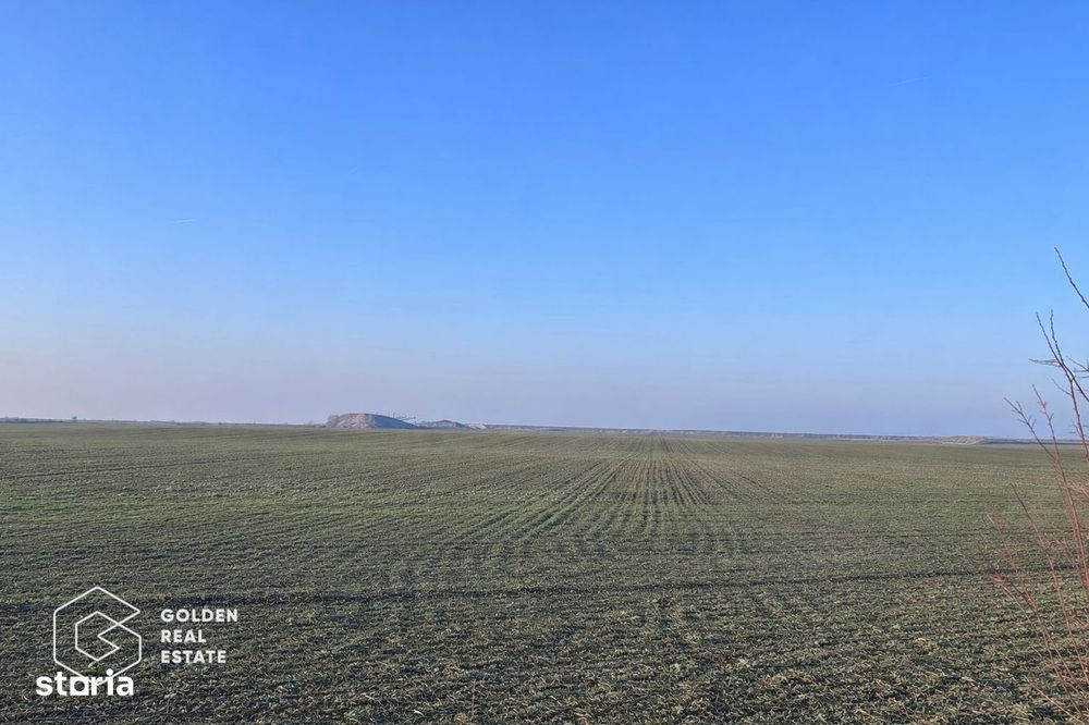 Teren agricol 32.000 mp, deschidere sosea Arad–Siria
