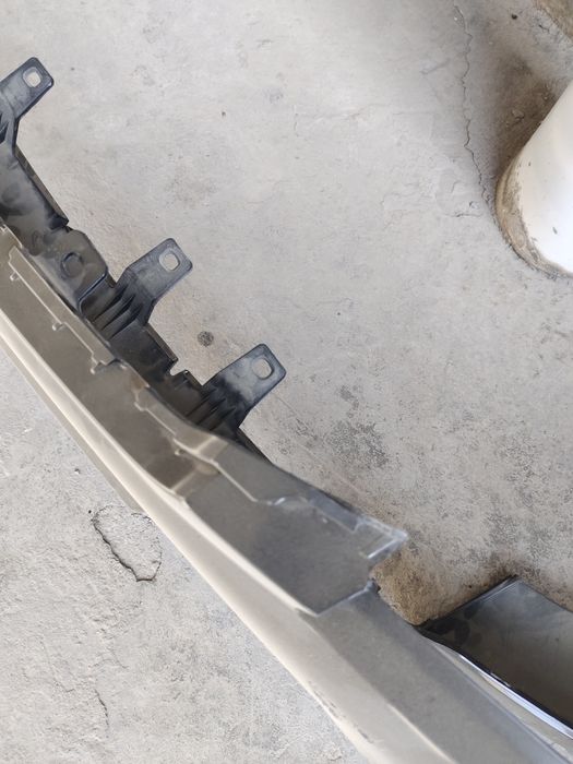 Banfer jentra oldiga qora gbo