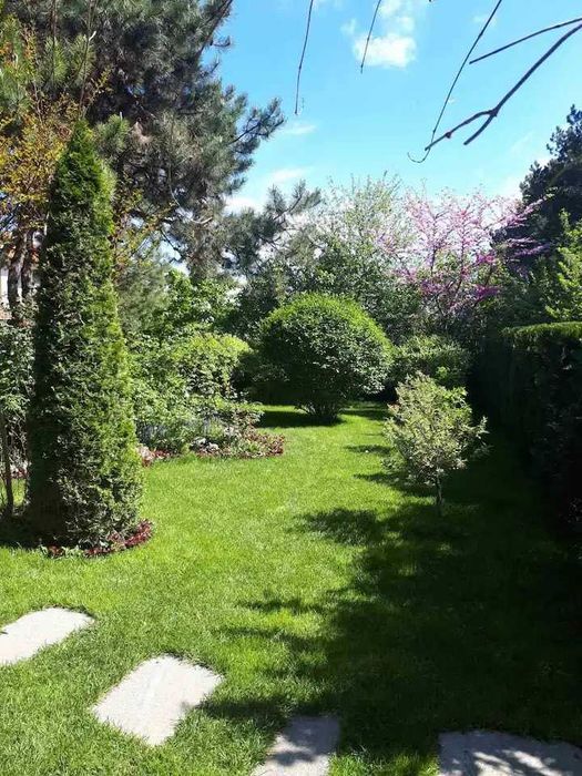 Продава се Парцел в с. Кошарево, Област Перник - 6600 кв.м за 11 €/кв.м - Снимка #1