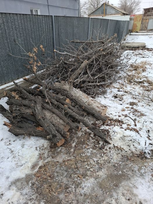 Отындыққа, шанхайда