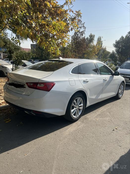 Malibu2 2018 oppoq rang