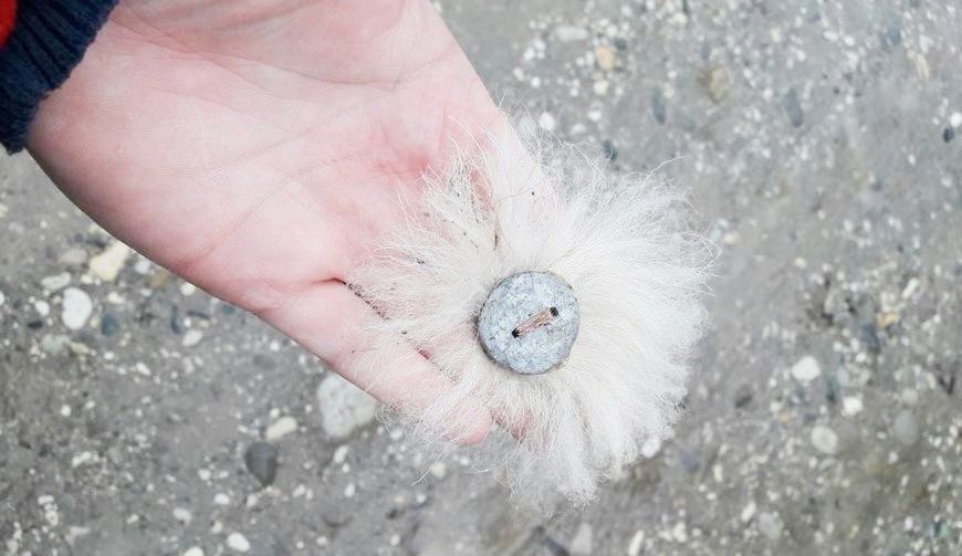 Ланга. Ланга. Ланга