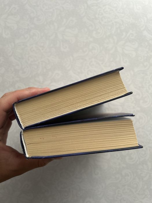 Книга Халеда Хоссейни  (И эхо летит по горам)