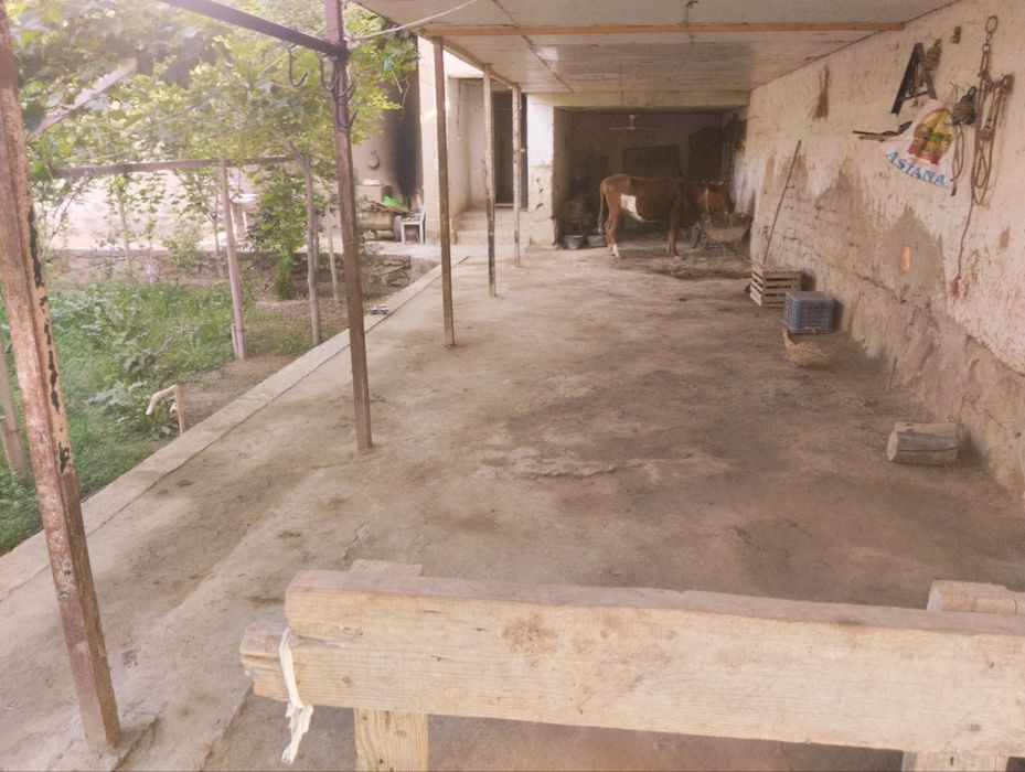 Кармана туманки Янги Хаёот МФЙ да Ховли сотилади.