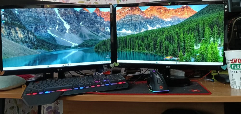 Set monitoare LG 23MP48HQ
