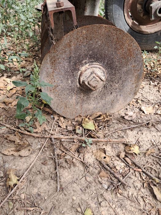 De vânzare disc gd 3,4
