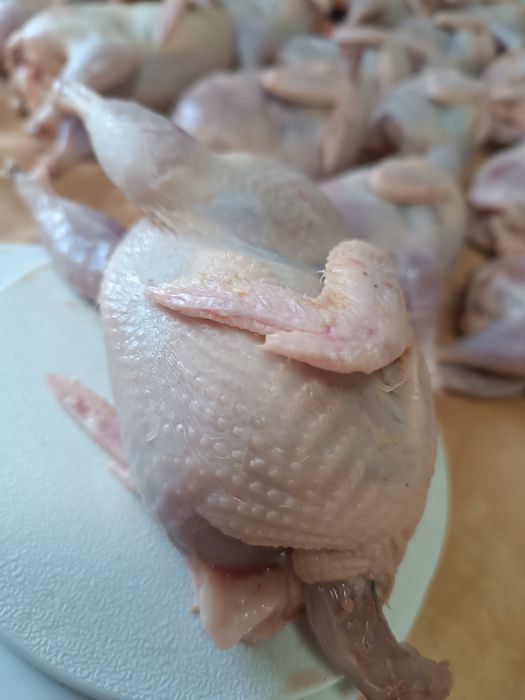 Мясо перепелов продам