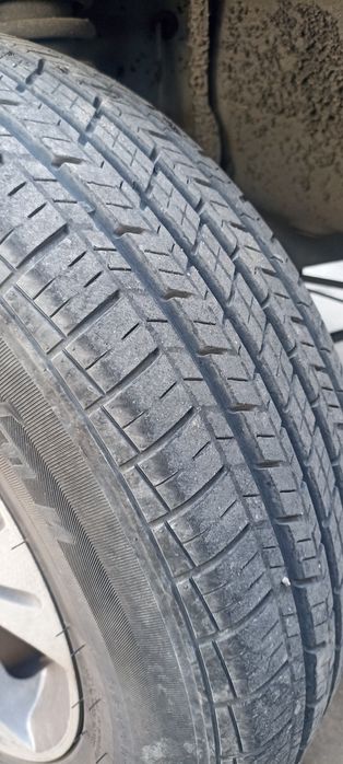 Diska balon 13 damas matiz