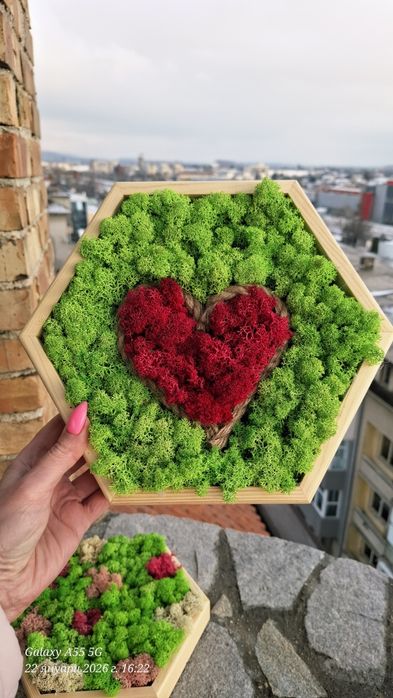 Пано шестоъгълник със скандинавски мъх