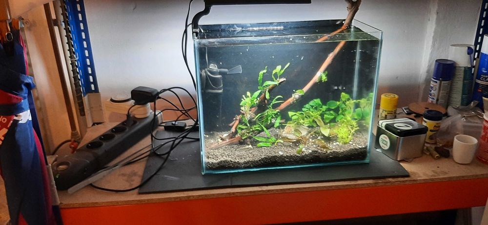 Acvariu  23 l si 112 l