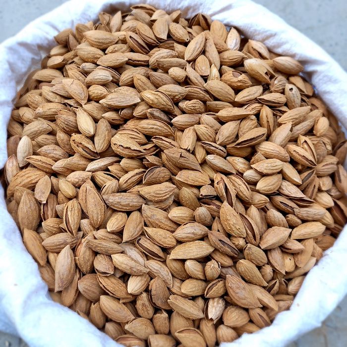 Бодом миндаль bodom отборный калефорния chaqchuq орехи