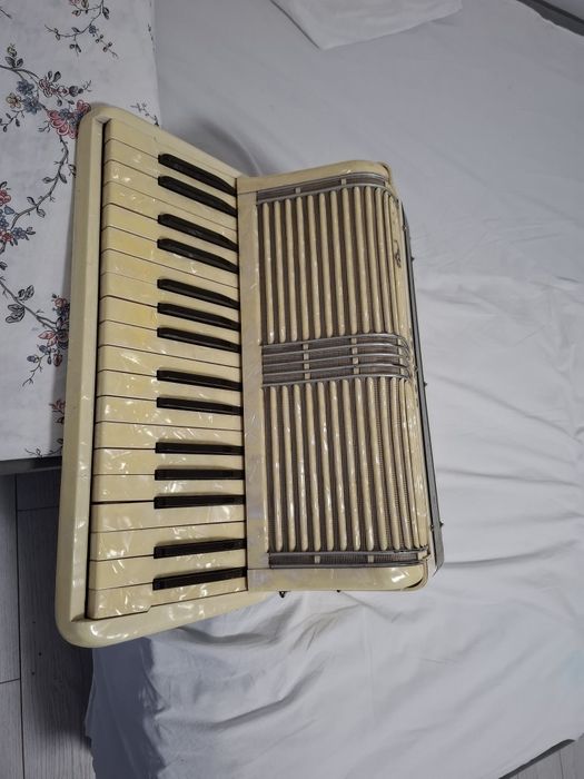 Vind acordeon profesional studiu