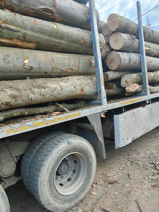 Lemn foc fag 440lei m cub