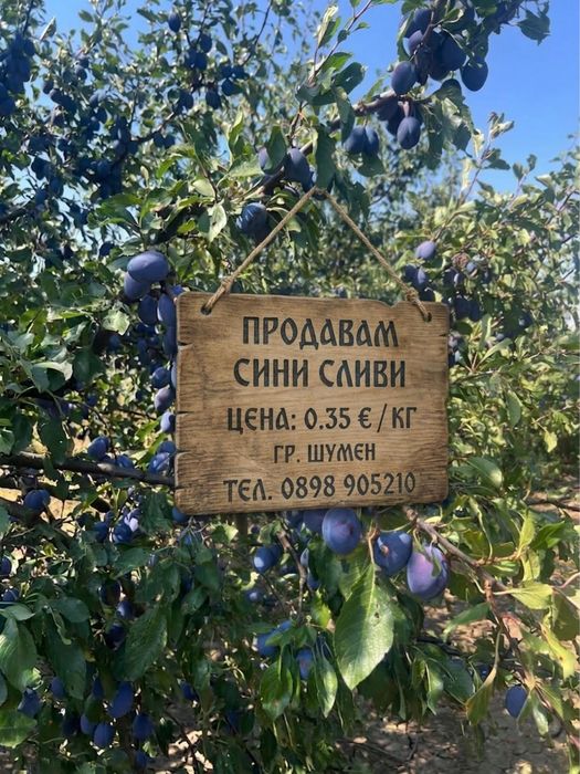 Сини сливи 0.35€