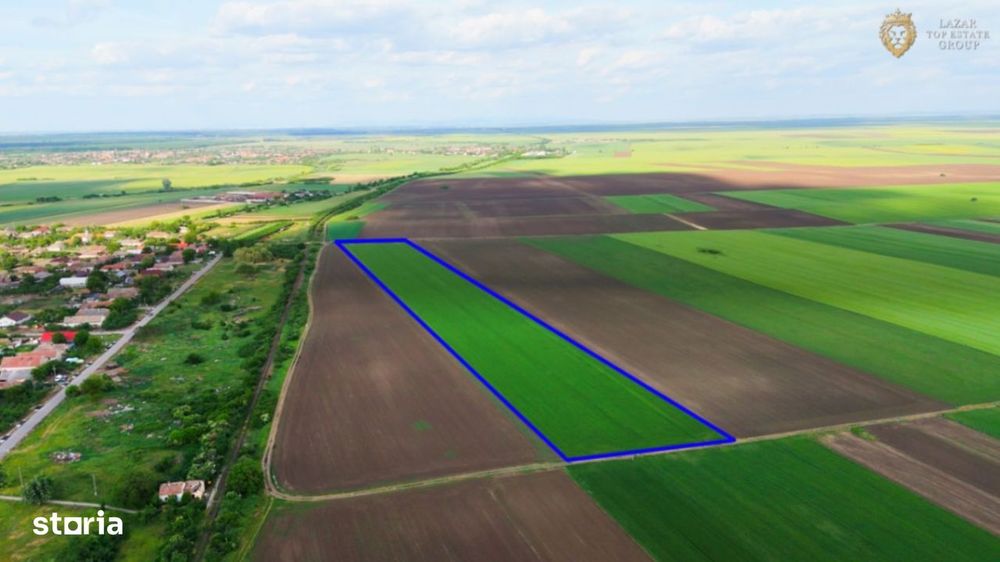 Teren cu potential 6,9 ha in Munar