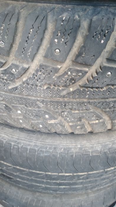 Пакришка бир сезон журген