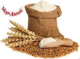 Бутун дунёга ва Узбекистон Республикаси буйлаб энг арзон улгуржи нархл