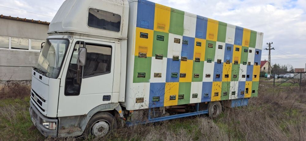 Schimb camion apicol