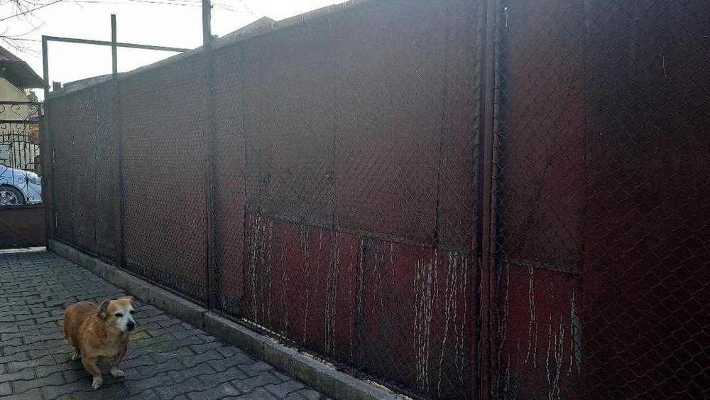 Panouri gard, cadru metalic cu plasa, 2,50 m lungime / 1,55 m inaltime