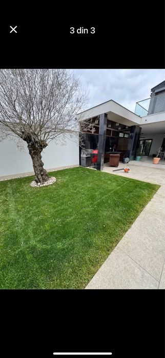 Gazon natural pentru grădini, terase și spații comerciale