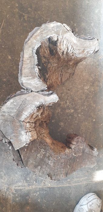 Липа , дървен материал