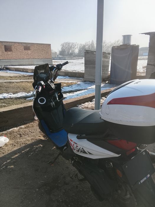 Самурай Лия мапед