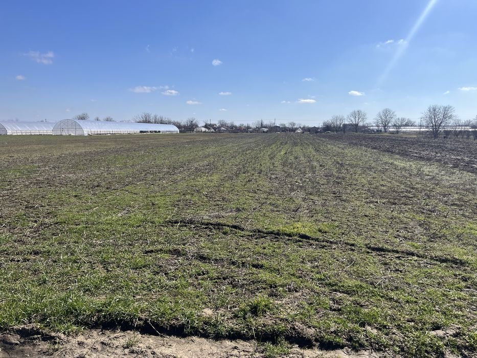 Teren intravilan de vanzare / parcelat