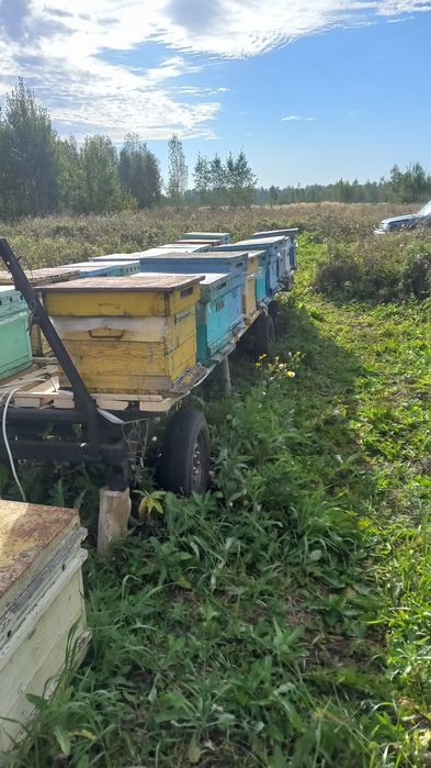 Прицеп пчеловодческий