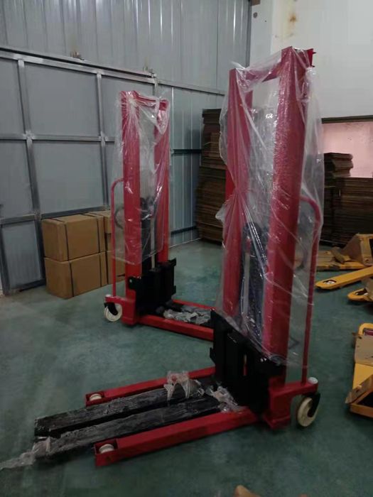 Рохлер котаргичлар