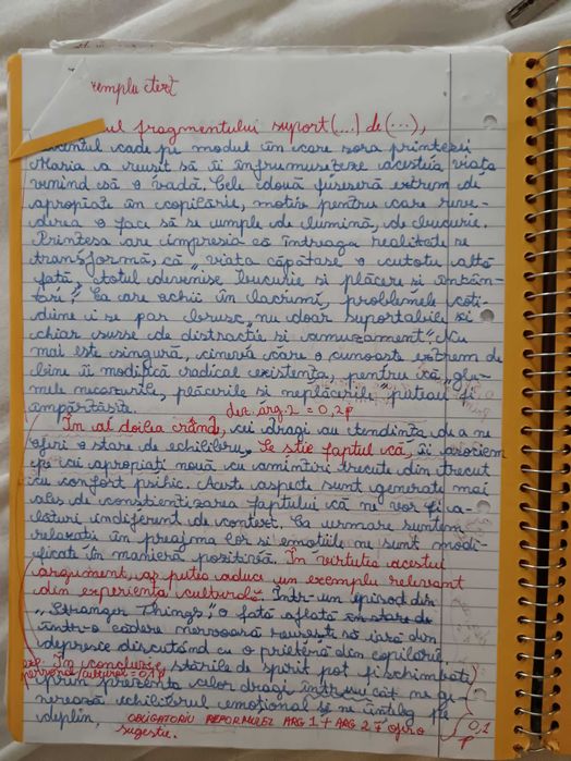 Caiet Bac pentru Română, tot ce ai nevoie