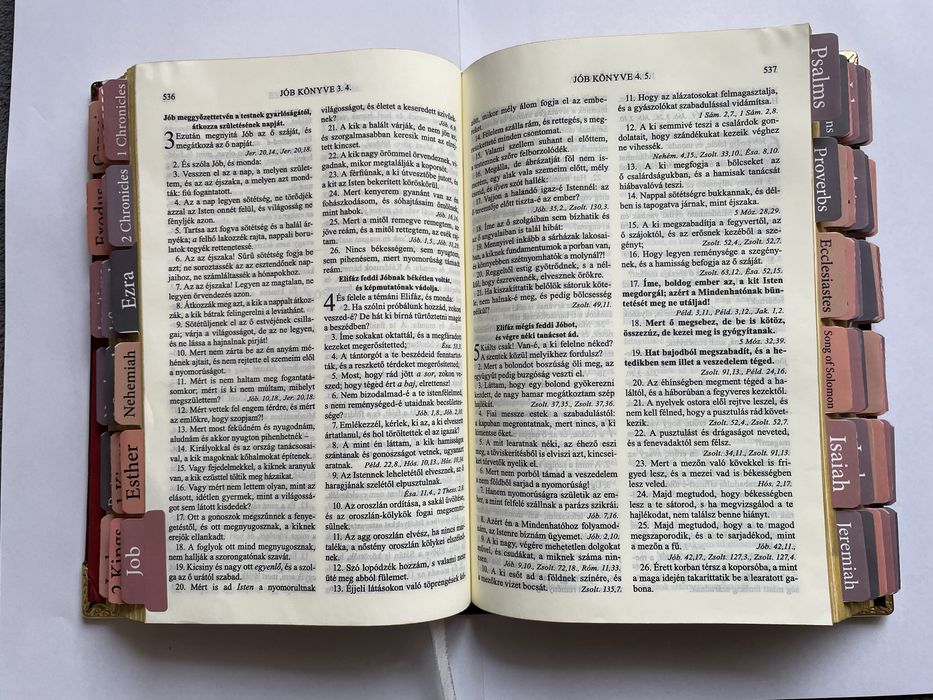 Personalizare Biblii pe limba  maghiară si română