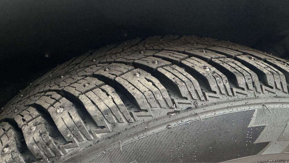 Triangle зимняя с шипами