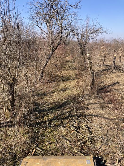 Defrisari terenuri, intretinere spatii verzi si demolari