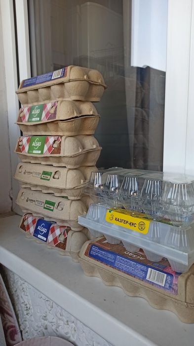 Лотки для яиц бесплатно