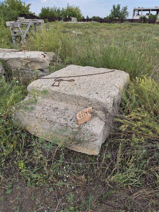 Отдам бесплатно в Косшы