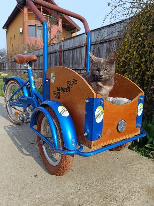 Bicicleta Pegas Cargo mini