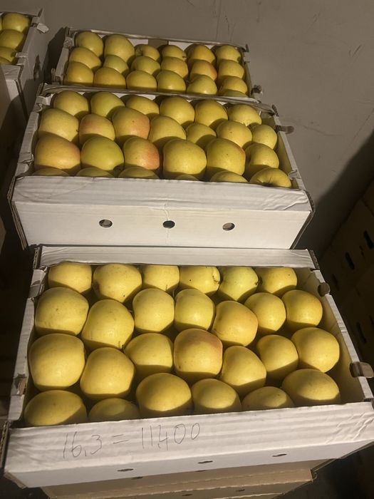 Продаю яблоки местные!!!