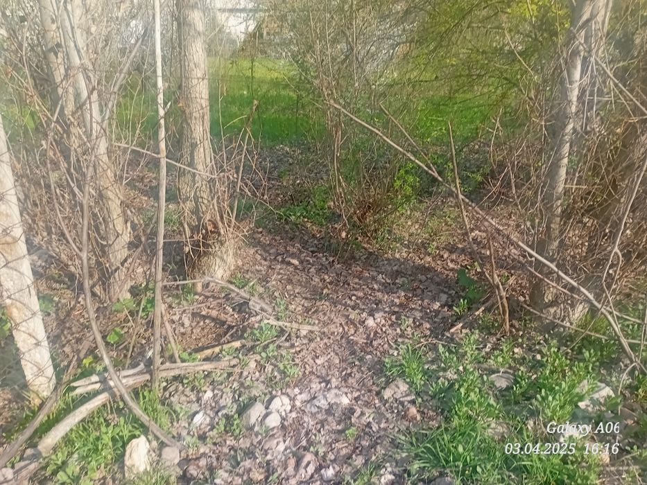 Ташкент вилояти Паркент туман Бустон кфй Ачиксой мой