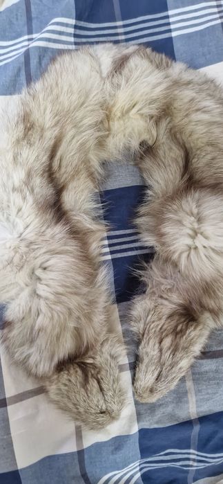 Guler blana naturala