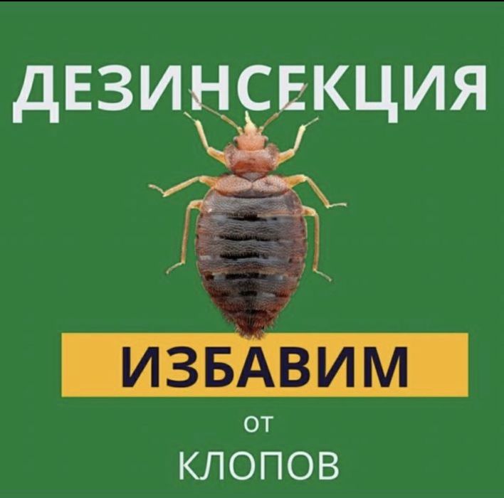 ‼️ДЕЗИНФЕКЦИЯ от ТАРАКАНОВ клопов БЛОХ муравьев с ГАРАНТИЕЙ до 1 года