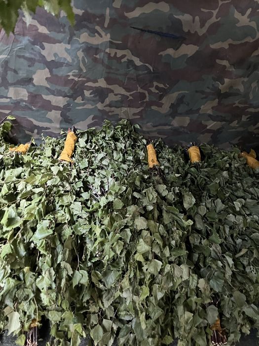 Веники березовые