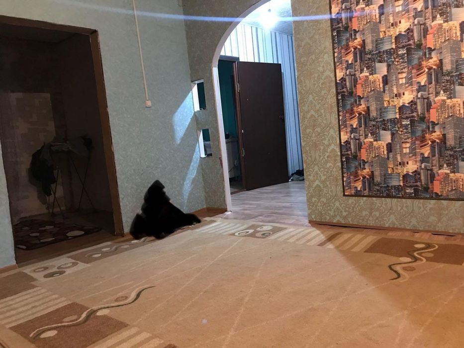 Срочно, район садика Куаныш