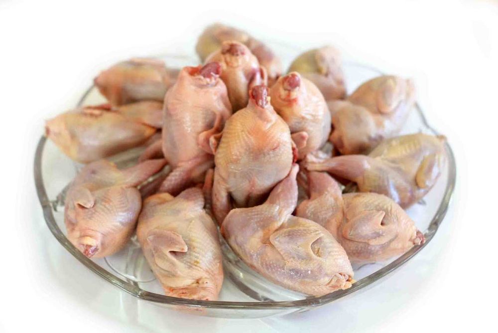 Мясо перепелов фото Мясо перепелов фото